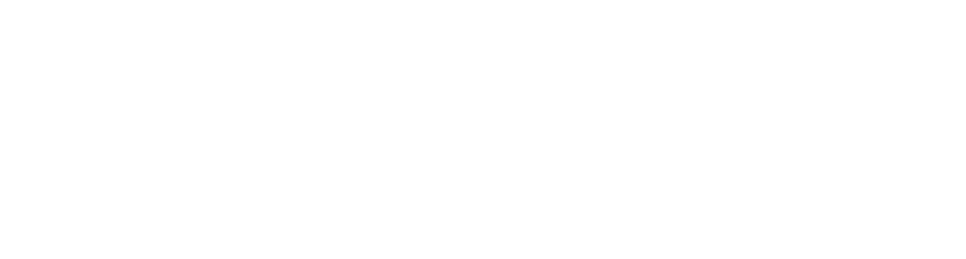 Gundir